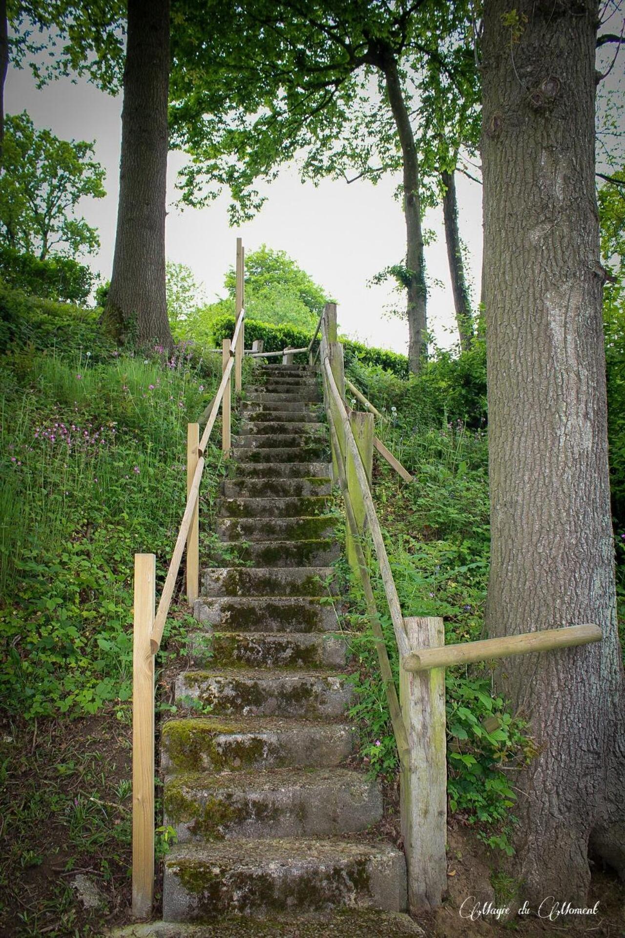 Camping La Sabliere Saint-Jans-Cappel 외부 사진